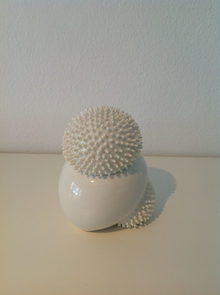 Sea Urchin Container